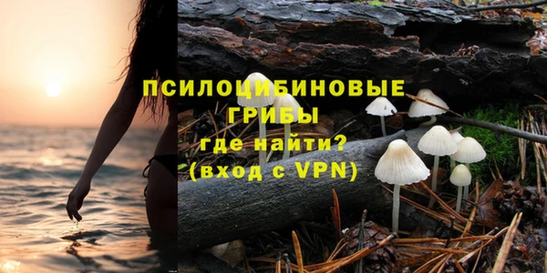 молекула духа Алексин