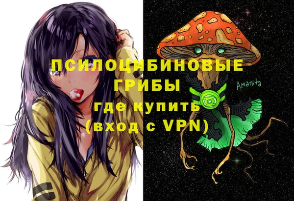 молекула духа Алексин
